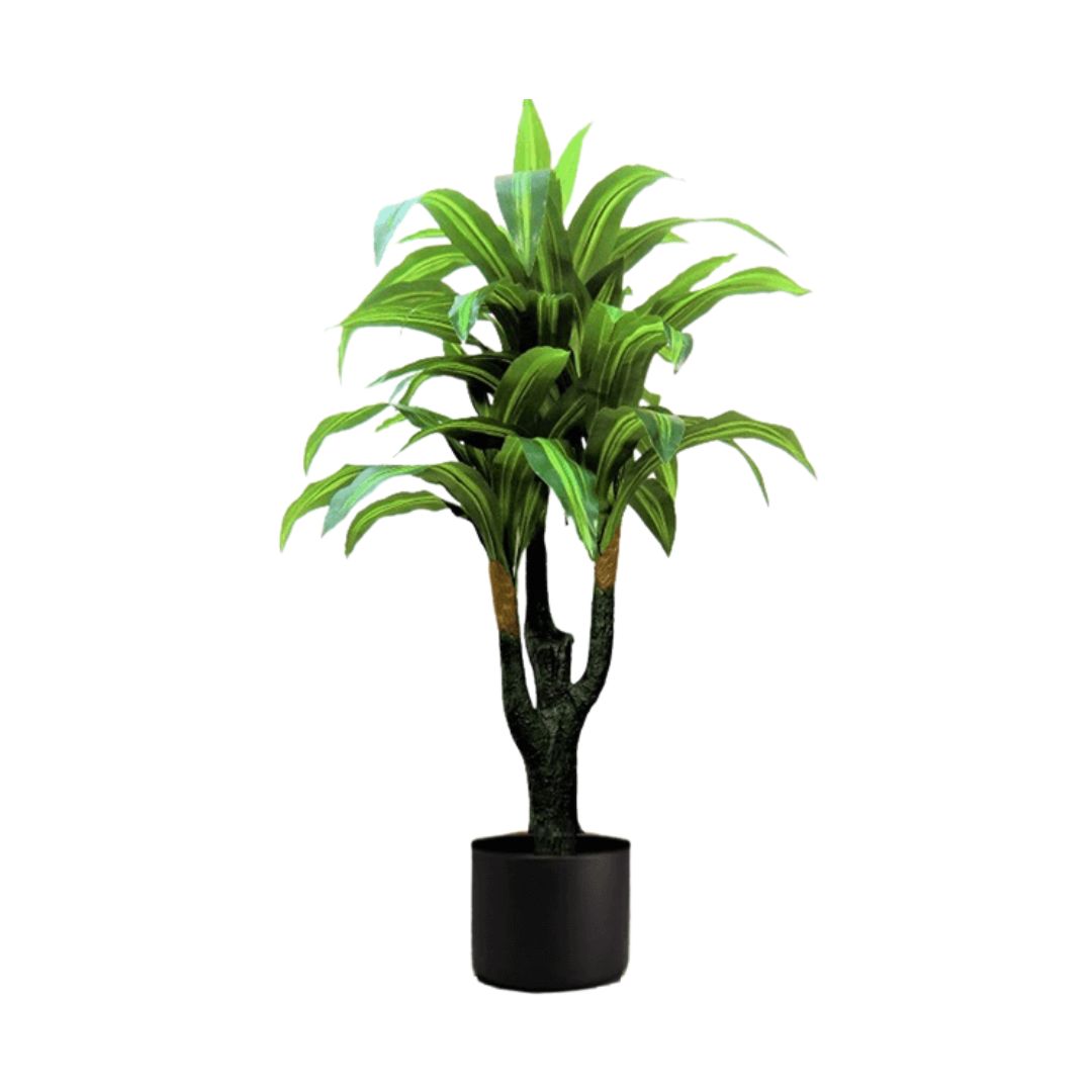 160cm Plant Artificial Dracena x3 heads, home decor, garden, events Aplant1080