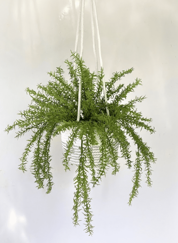 Plant Artificial Evergreen in Hanging Basket, home decor, garden, events Aplant1081