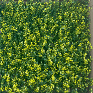 Grass Walls Artificial carpets, plants, home decor, events  Aplant1082-9