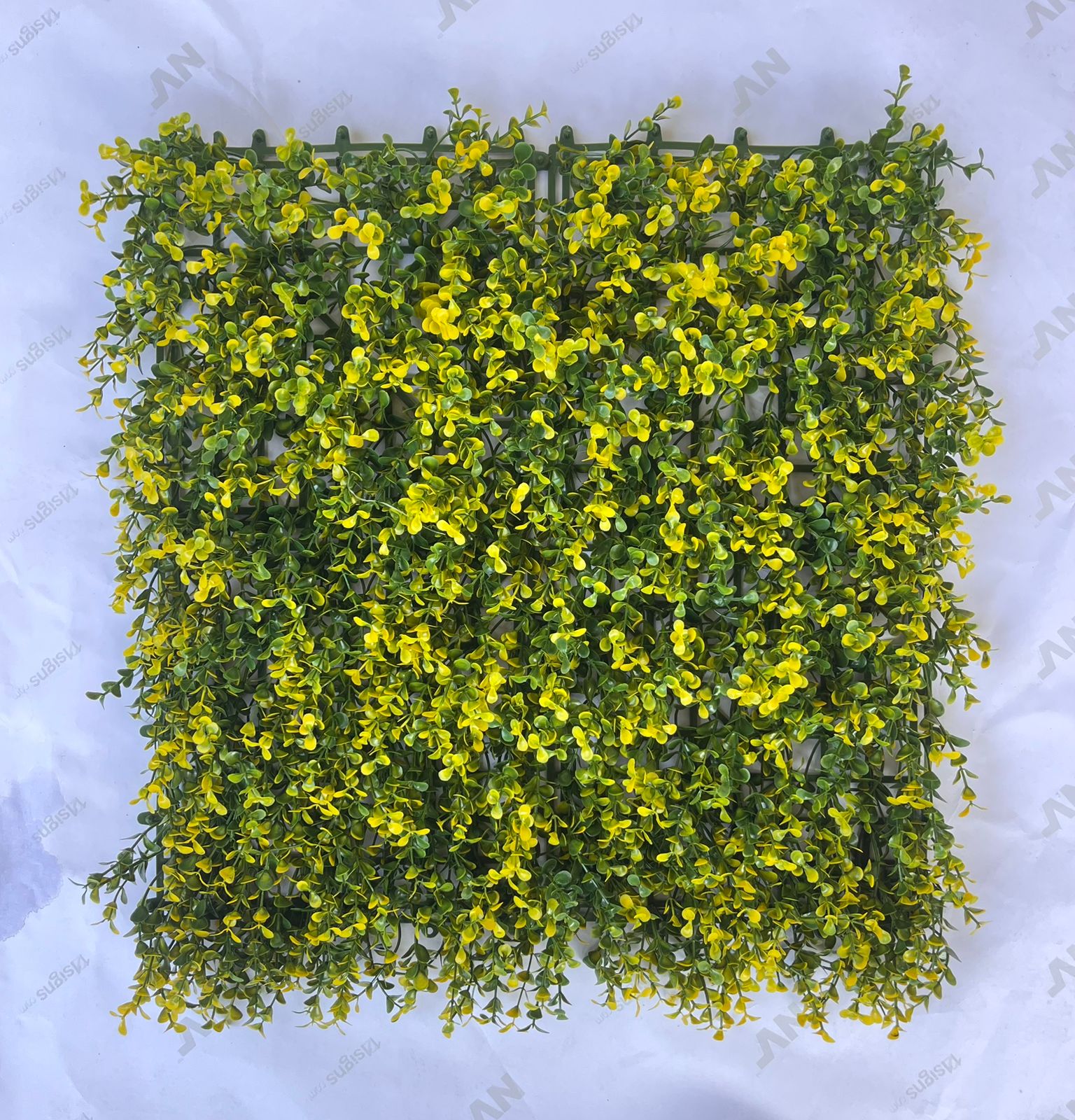 50x50cm Yellow-Tip Boxwood Artificial Plant Wall | Mixed Foliage Panel
