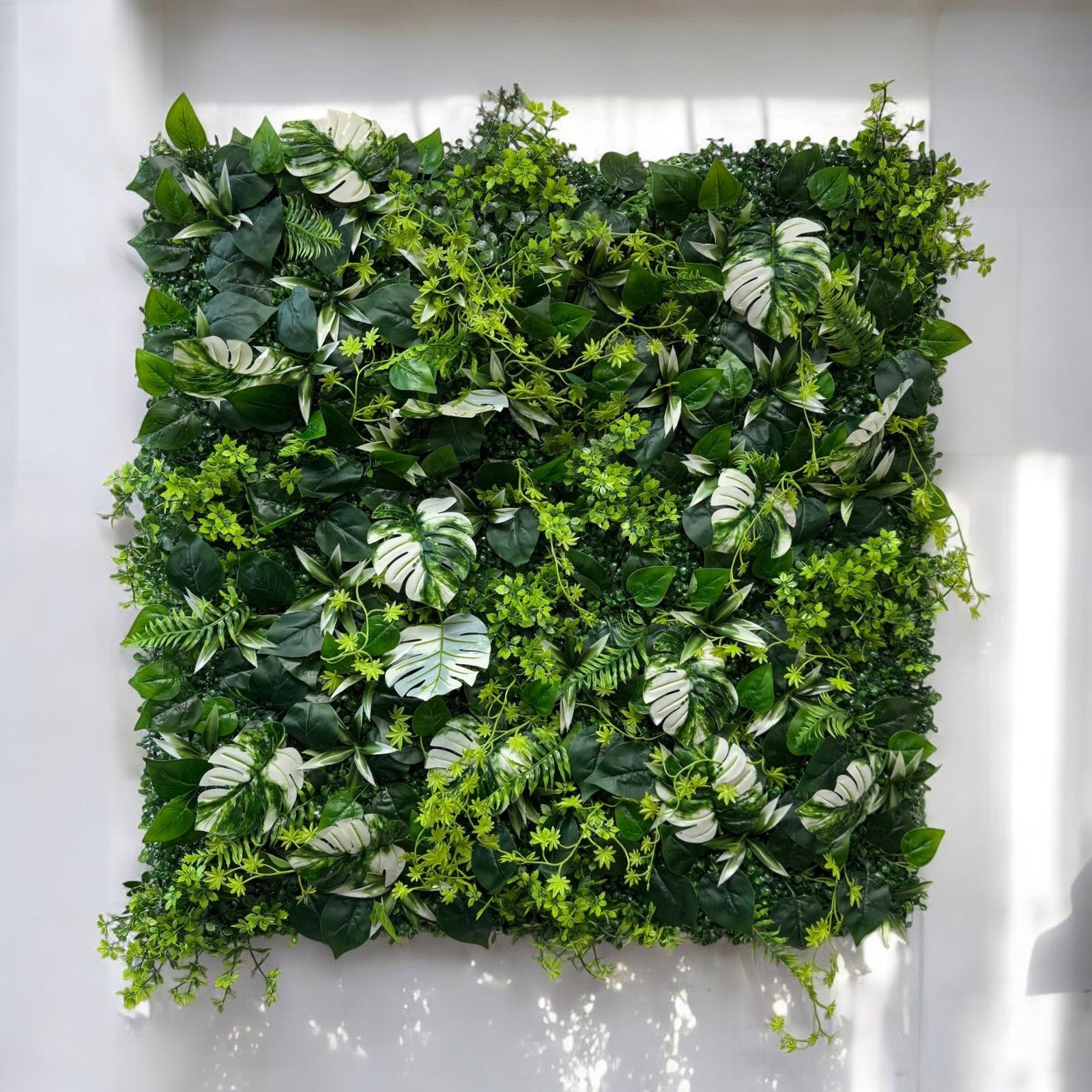 100x100cm monstera and ficus artificial plant wall panel with tropical foliage, trailing vines and boxwood greenery base