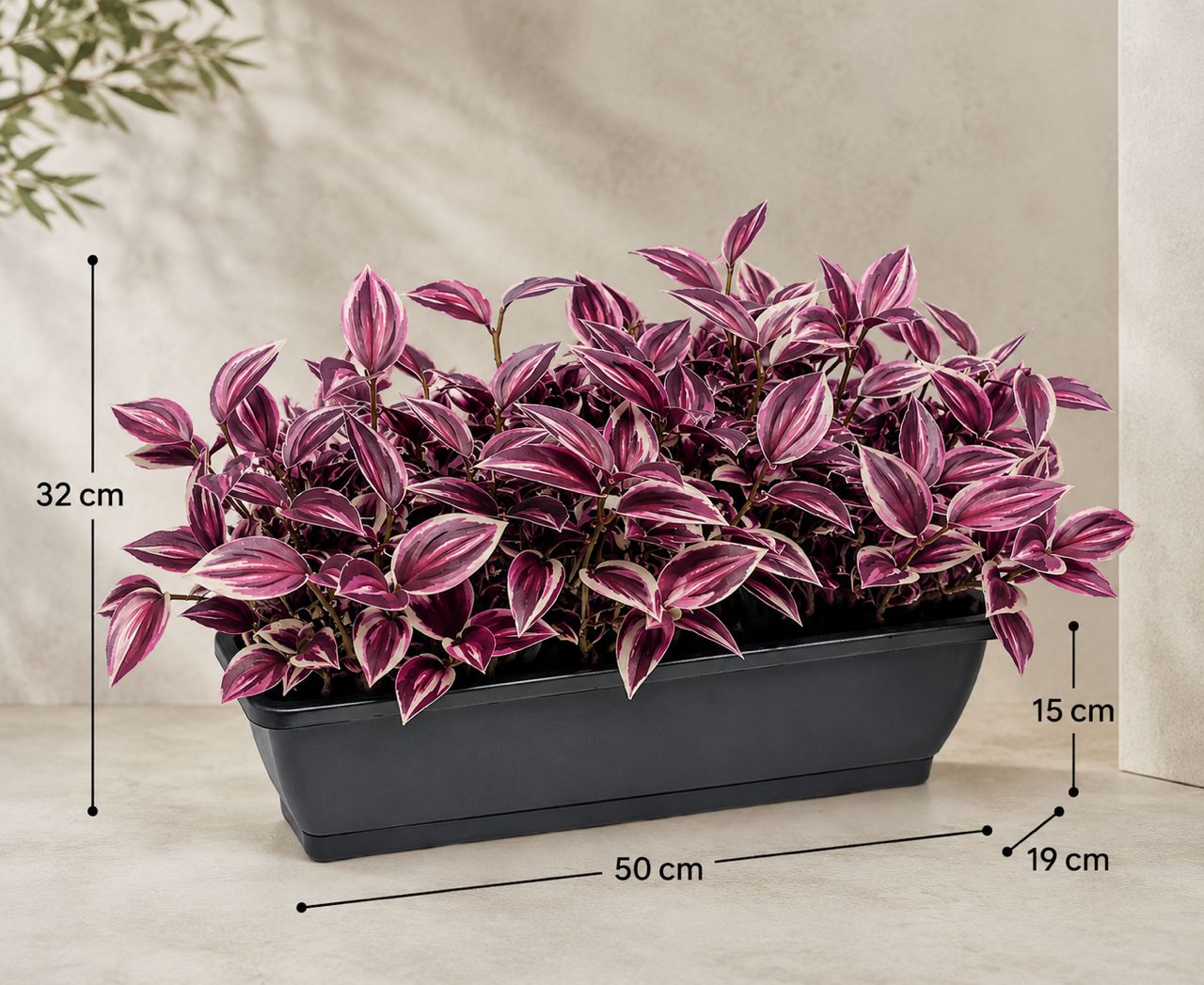 Mini eucalyptus artificial plant in a plastic rectangle planter, 35cm tall, with lush green foliage, by Alton Flowers.