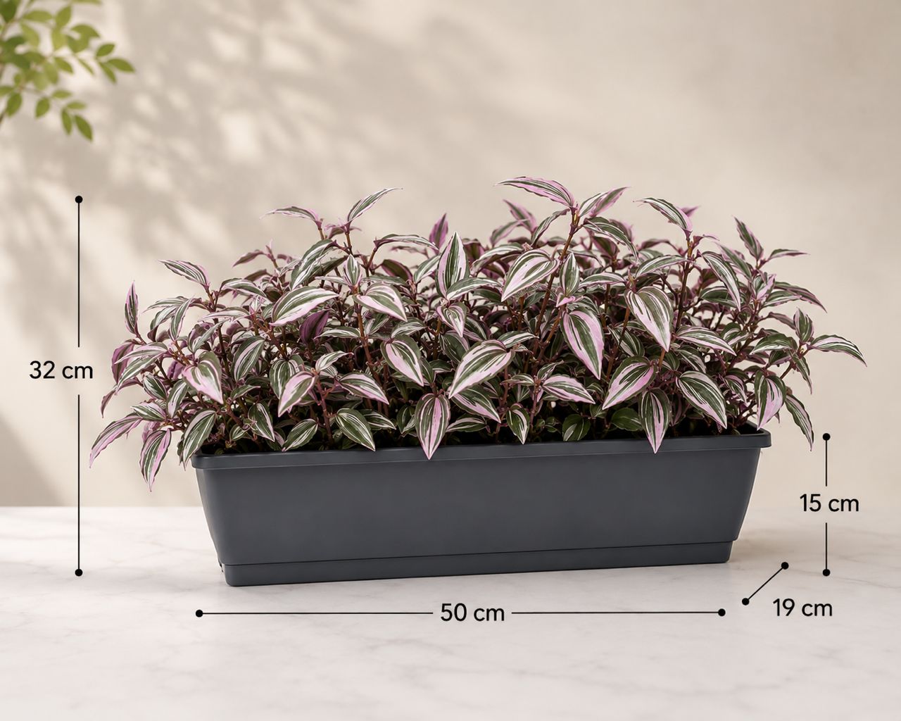 Mini eucalyptus artificial plant in a plastic rectangle planter, 35cm tall, realistic foliage from Alton Flowers.