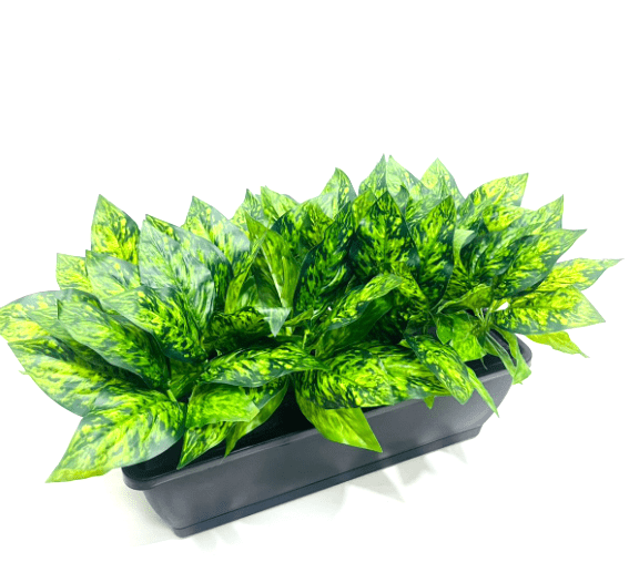 35cm Artificial Plant Mini Eucalyptus Bush Foliage in Plastic Rectangle Planter Pot Aplant1085