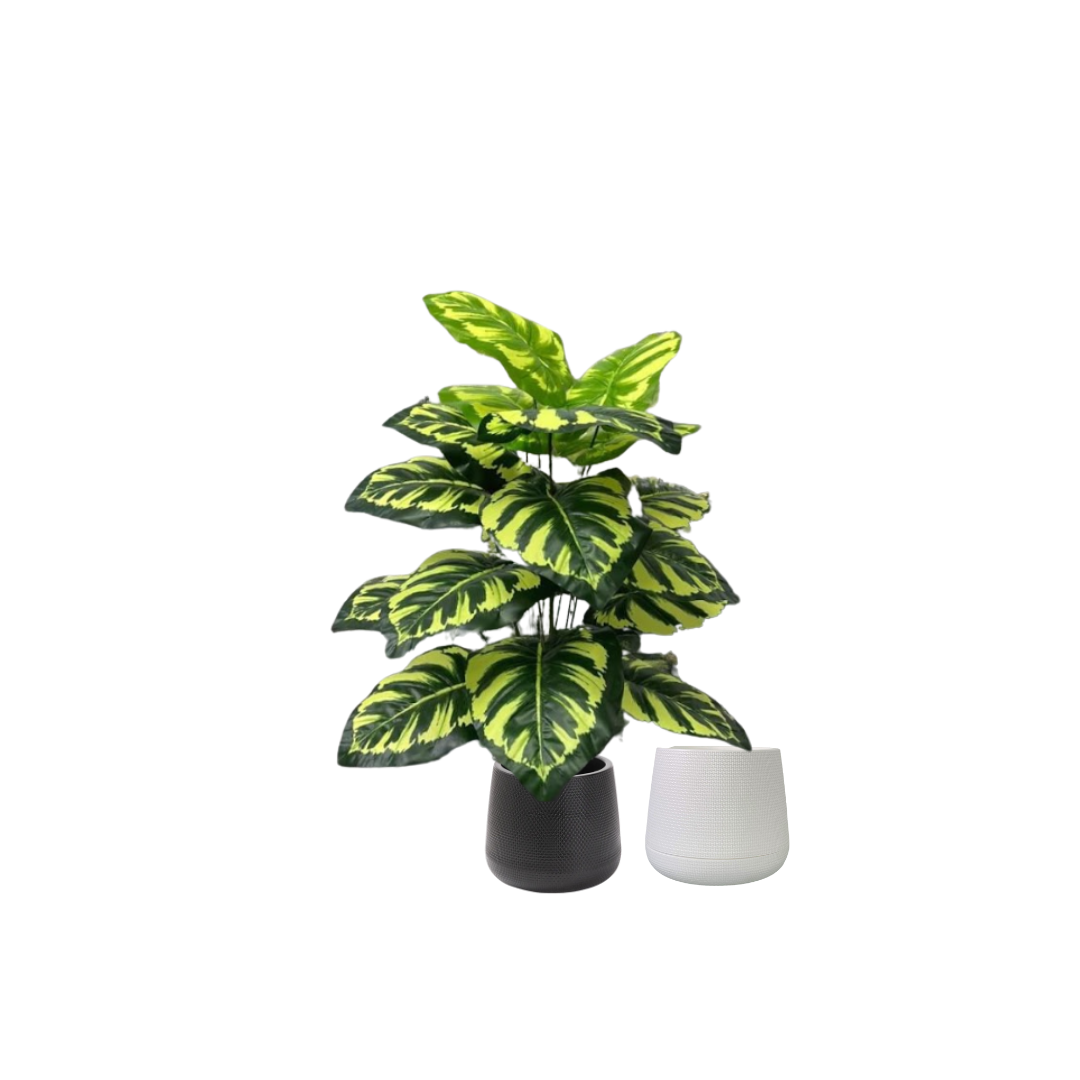 75cm Plant Artificial Peacock plant, shrubs, foilages, Plant 24 leaves Aplant1102-3
