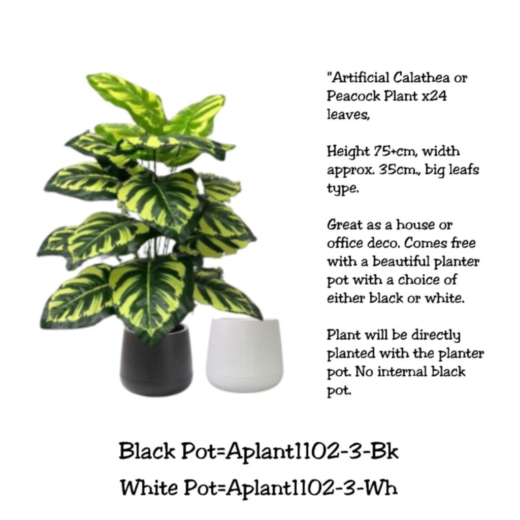 75cm Plant Artificial Peacock plant, shrubs, foilages, Plant 24 leaves Aplant1102-3