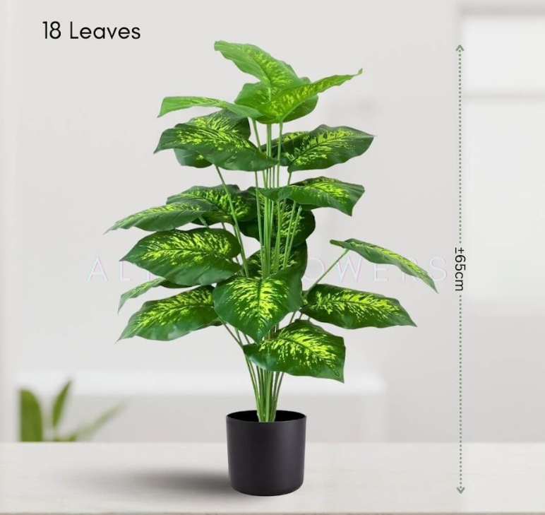 Artificial 65cm Diffenbachia plant with 18 lush green leaves, featuring money plant-inspired foliage, ideal for home decor.