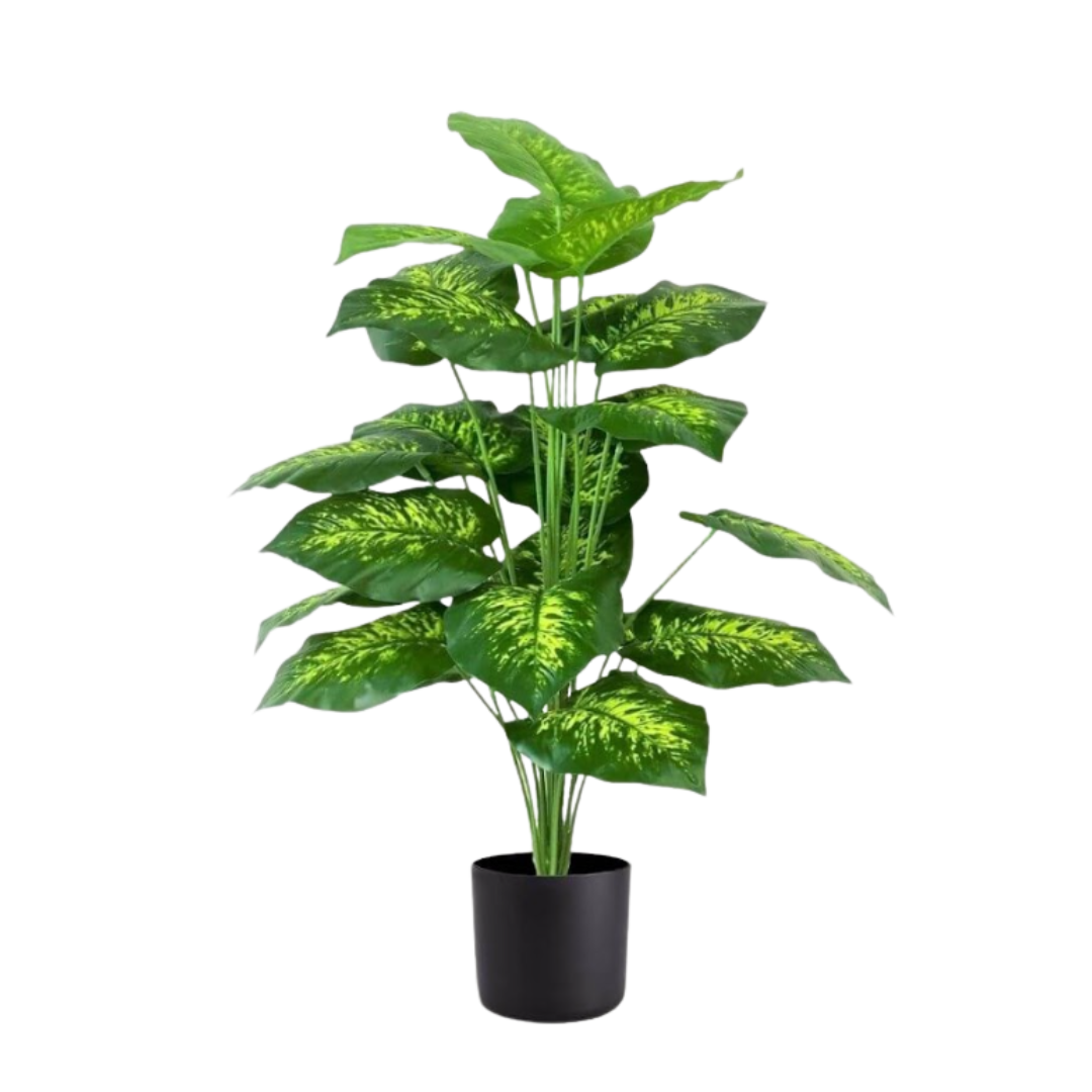 Artificial 65cm Diffenbachia plant with 18 leaves, lush green foliage, ideal for home or office decor by Alton Flowers N Gifts.