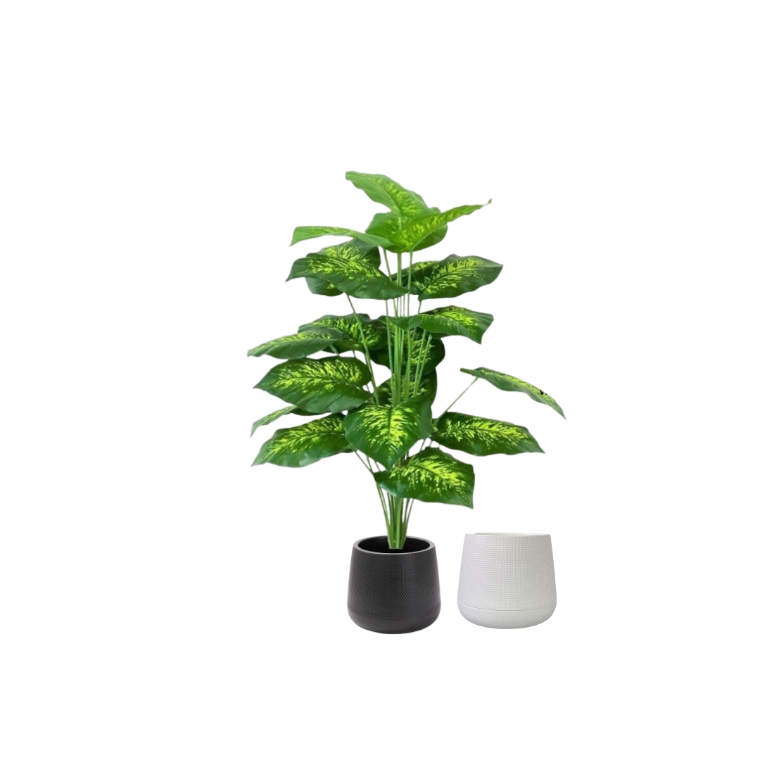 65cm Plant Artificial Diffenbachia plant, Money Plant, shrubs, foilages, Plant 18 leaves Aplant1104-2-Bk