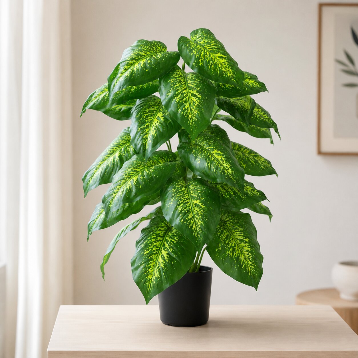 75cm Artificial Lime Dieffenbachia Plant | Potted Faux Speckled Dumb Cane Shrub
