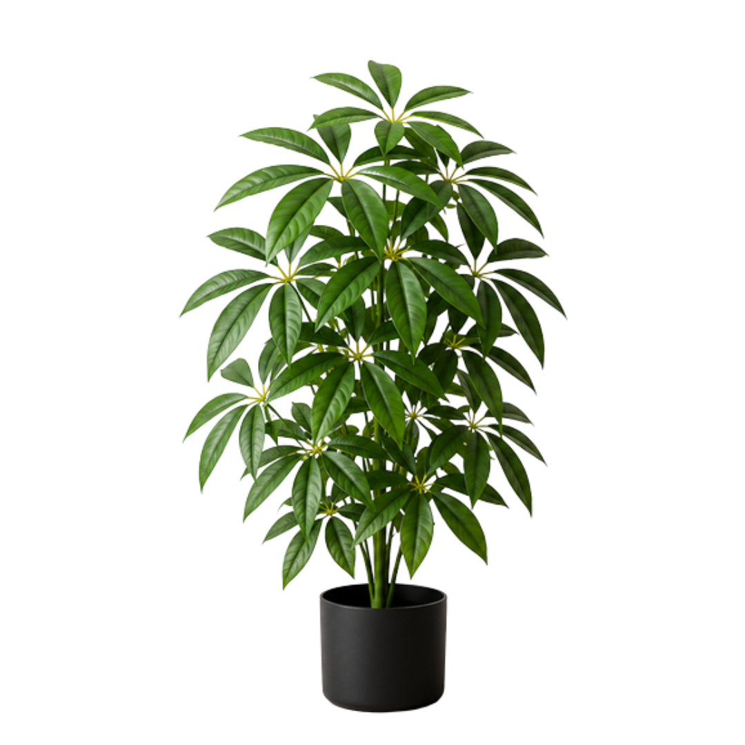 Artificial 75cm Scheffera Fortune plant with 24 lush green leaves, perfect for home or office decor by Alton Flowers.