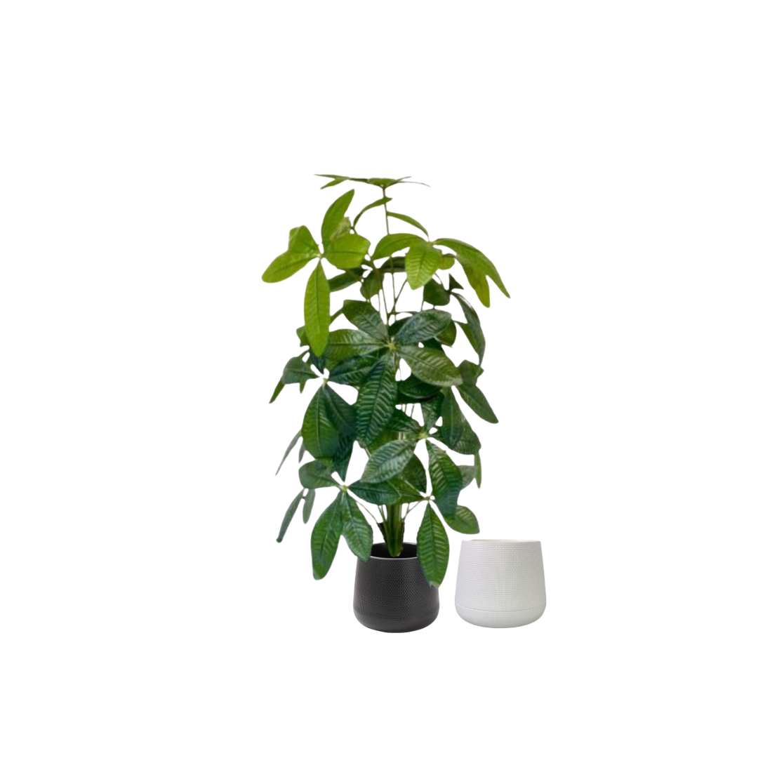 75cm Plant Artificial Fortune plant, Scheffera, shrubs, foilages, Plant 24 leaves Aplant1106-3