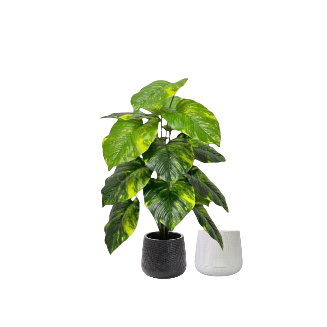 65cm Plant Artificial Money Plant Philodendron, Money Plant, shrubs, foilages, Plant 18 leaves Aplant1108-2