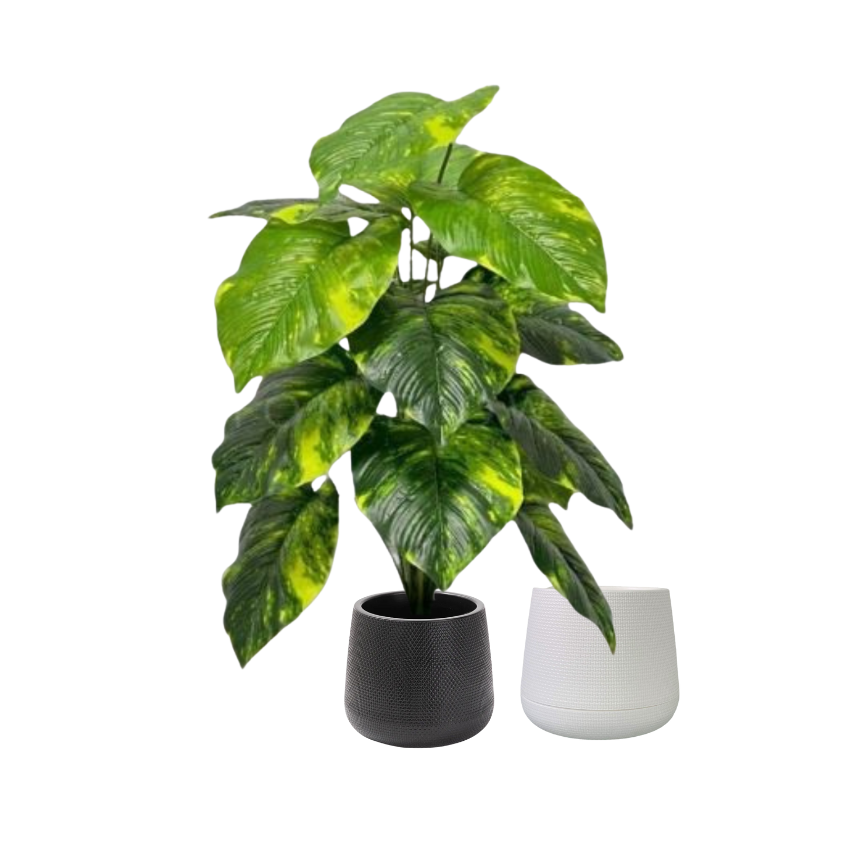 65cm Plant Artificial Money Plant Philodendron, Money Plant, shrubs, foilages, Plant 18 leaves Aplant1108-2