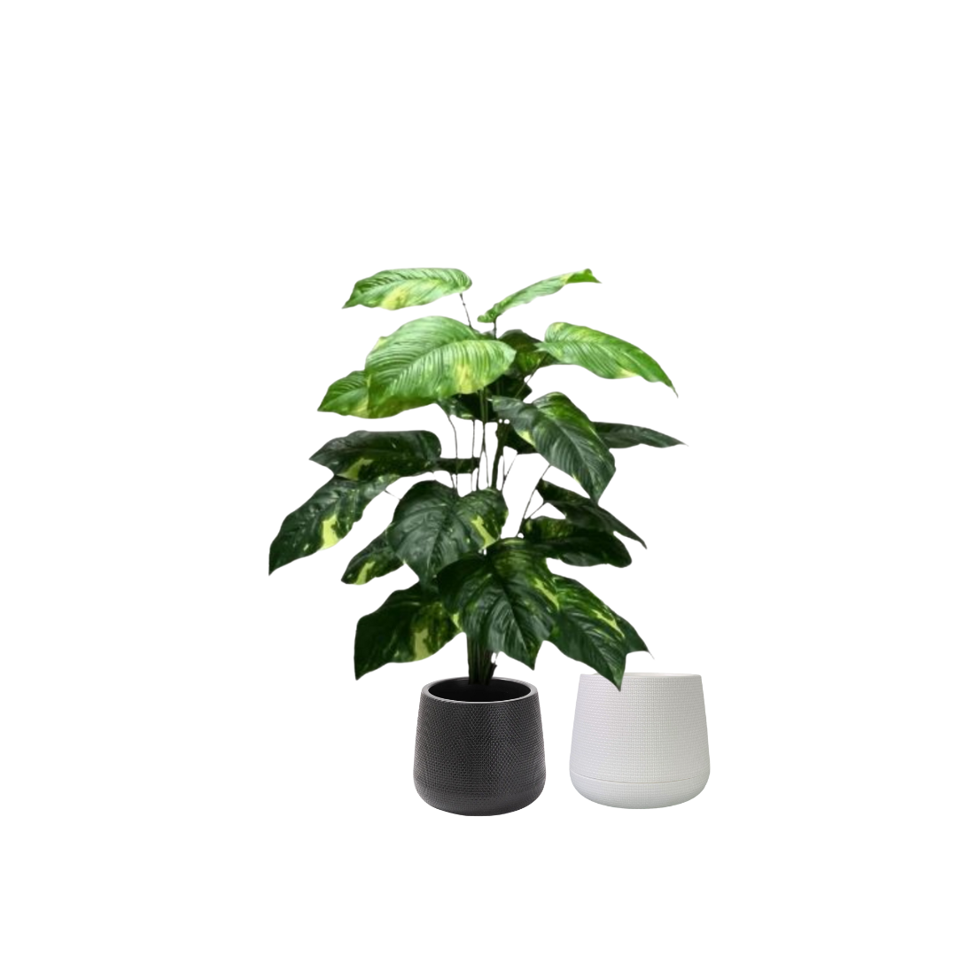 75cm Plant Artificial Money Plant Philodendron, Money Plant, shrubs, foilages, Plant 24 leaves Aplant1108-3