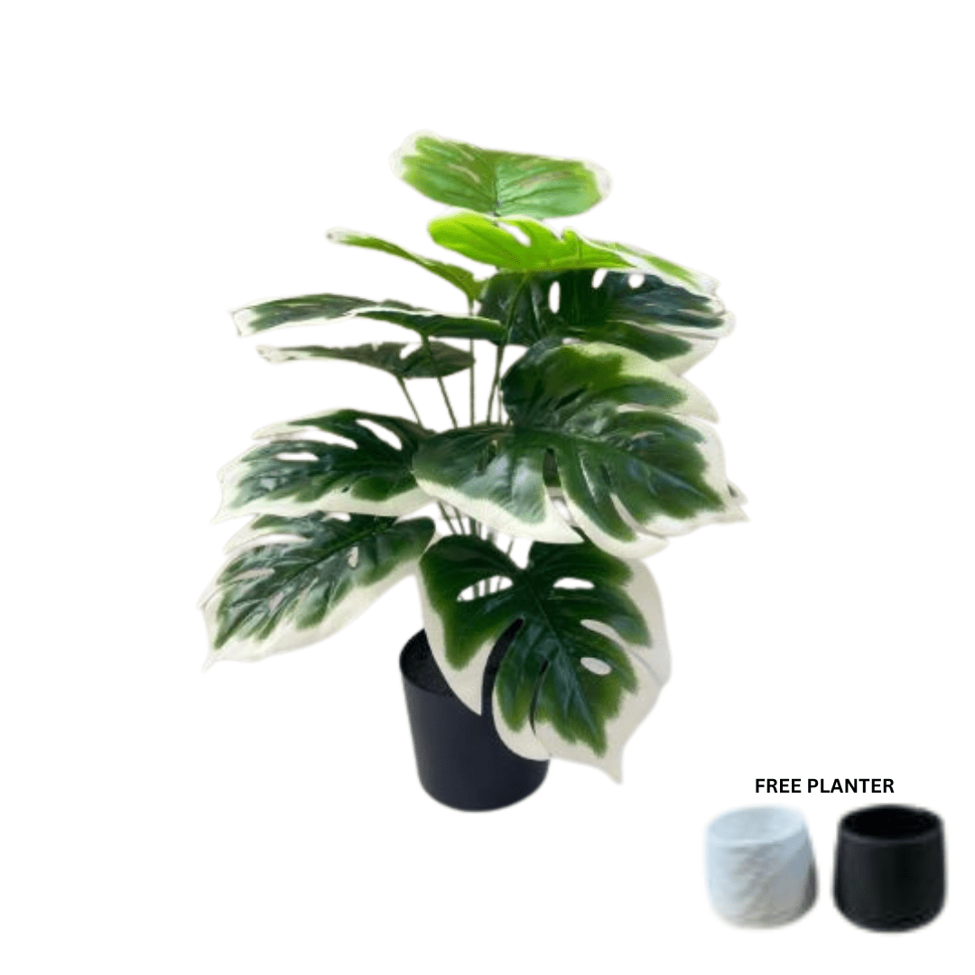 45cm Plant Artificial Monstera White Edge Plant, Philodendron, Money Plant, shrubs, foilages, Plant 12 leaves Aplant1109-1