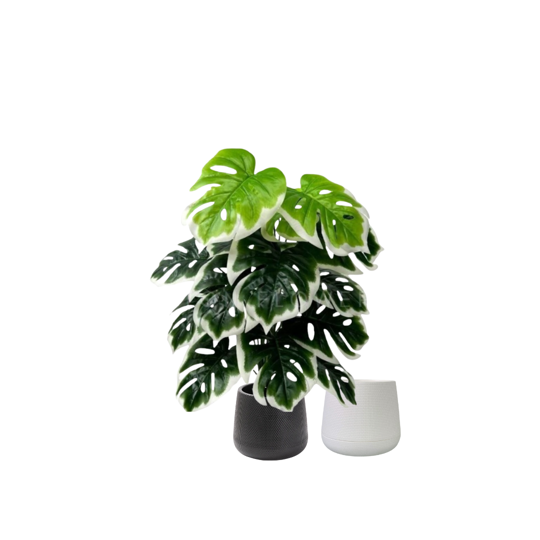65cm Plant Artificial Monstera Plant  White Edge, Money Plant, shrubs, foilages, Plant 18 leaves Aplant1109-2