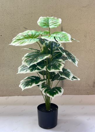75cm Plant Artificial Monstera Plant White Edge, Money Plant, shrubs, foilages, Plant 24 leaves  Aplant1109-3