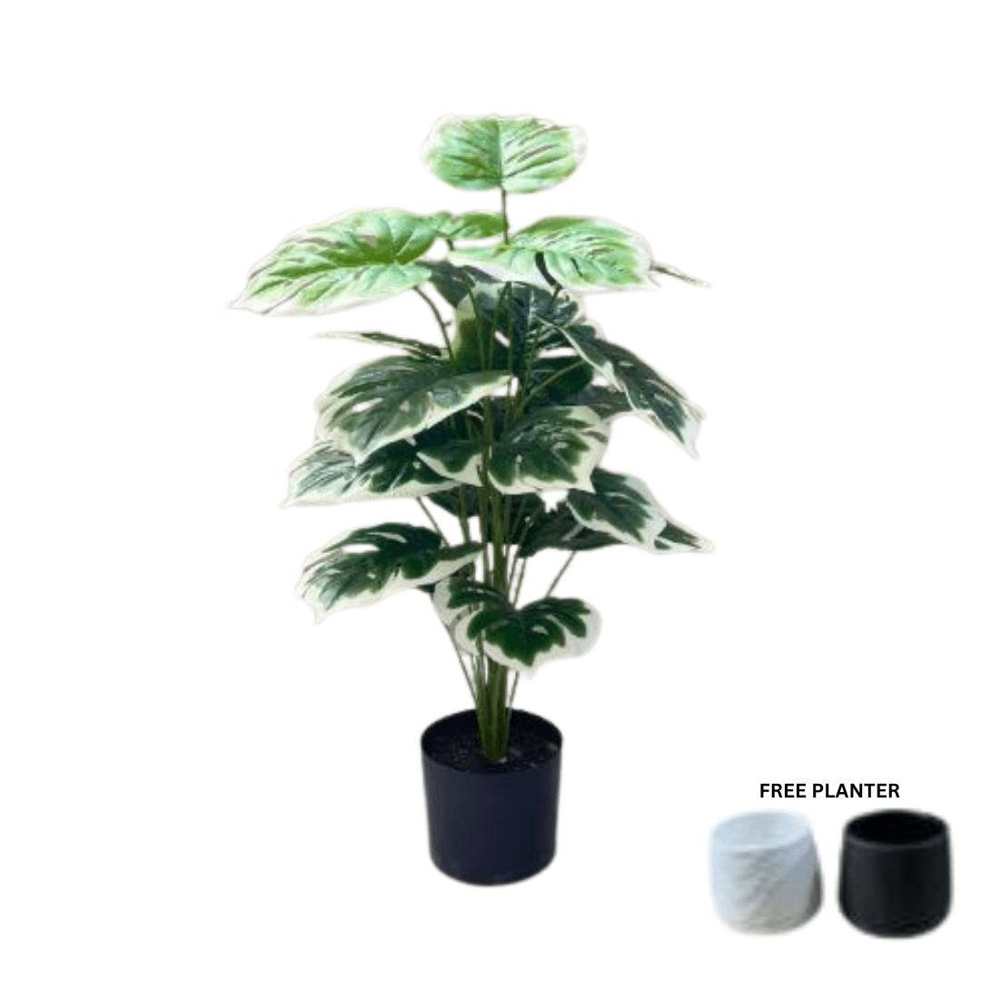 75cm Plant Artificial Monstera Plant White Edge, Money Plant, shrubs, foilages, Plant 24 leaves  Aplant1109-3