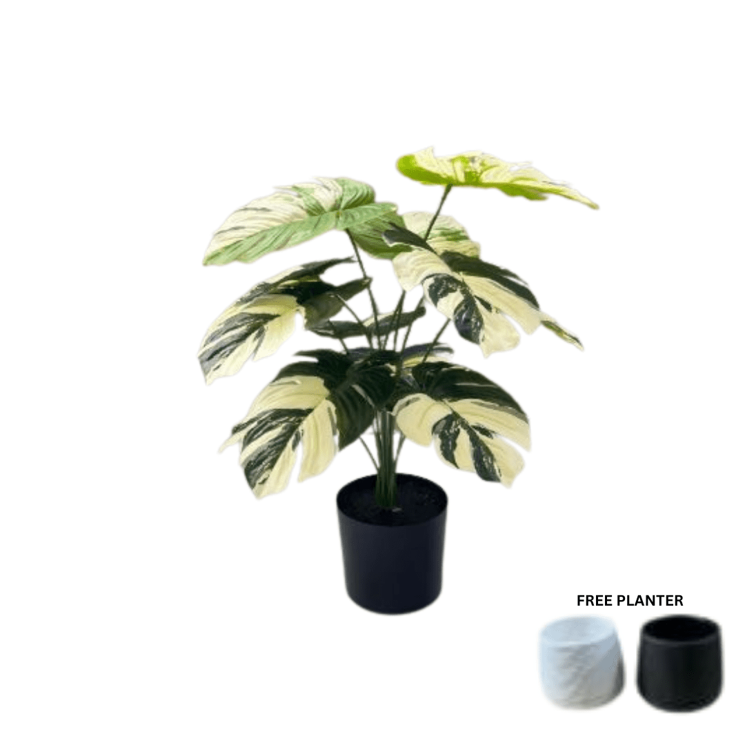 45cm Plant Artificial Variegated Monstera Albino Plant, Philodendron, Money Plant, shrubs, foilages, Plant 12 leaves Aplant1110-1