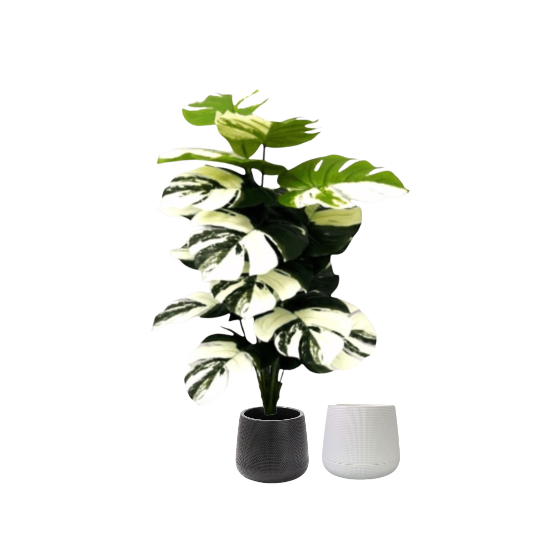 65cm Plant Artificial Variegated Monstera Albino Plant  Money Plant, shrubs, foilages, Plant 18 leaves Aplant1110-2