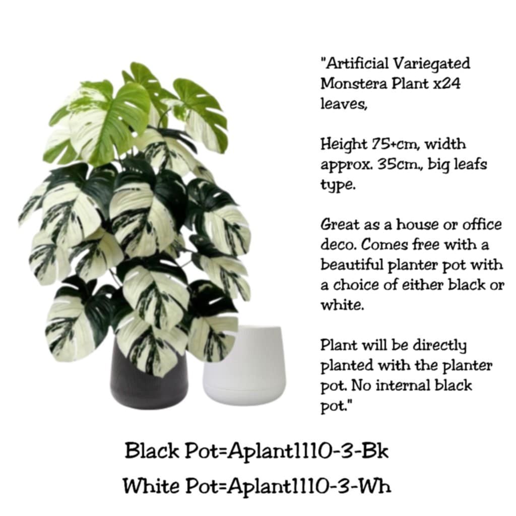 75cm Plant Artificial Variegated Monstera Albino Plant, Money Plant, shrubs, foilages, Plant 24 leaves Aplant1110-3