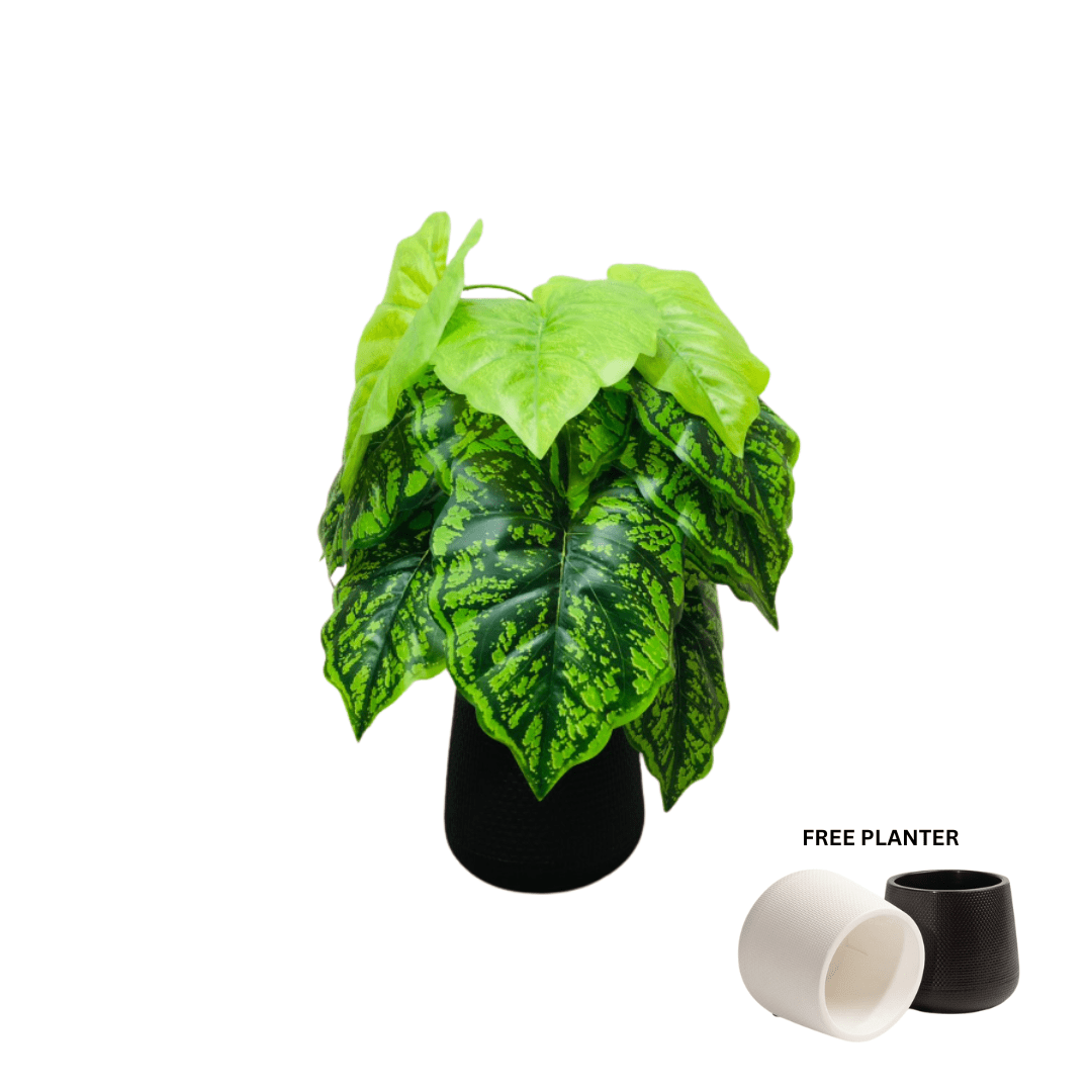 45cm Artificial Green Caladium Plant, Money Plant, shrubs, foilages, Plant 12 leaves Aplant1113-1