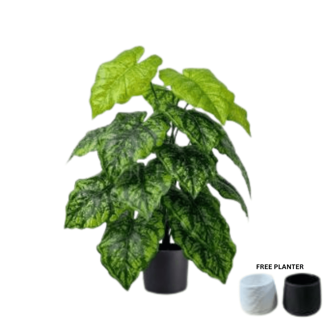 65cm Artificial Green Caladium Plant, shrubs, foilages, Plant 18 leaves Aplant1113-2