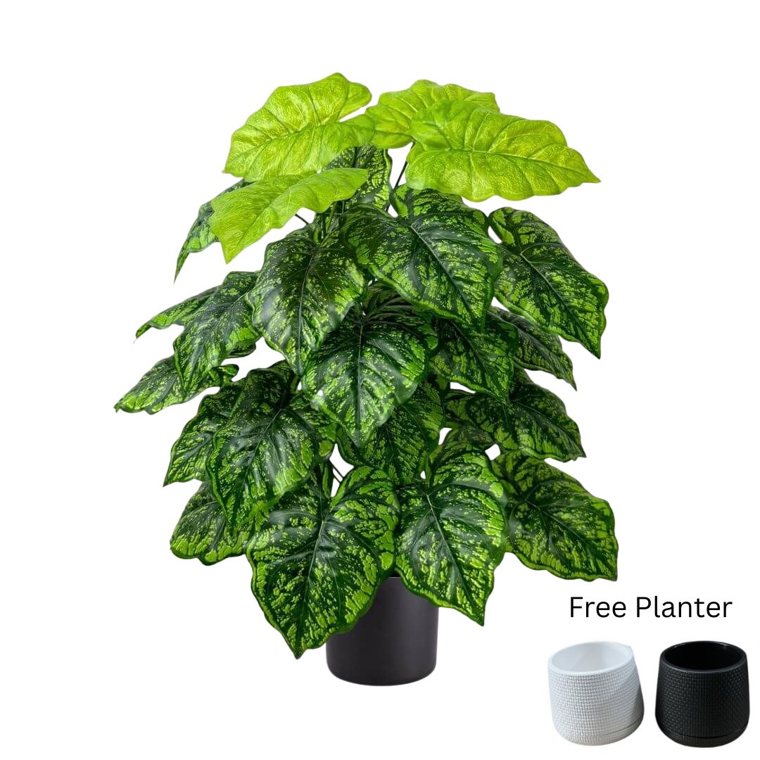 75cm Artificial Green Caladium Plant, shrubs, foilages, Plant 24 leaves Aplant1113-3