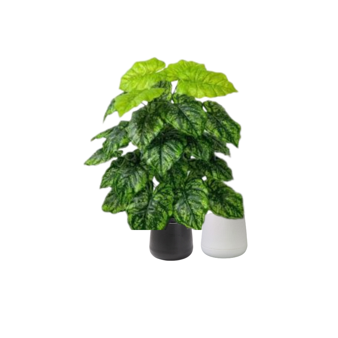 75cm Artificial Green Caladium Plant, shrubs, foilages, Plant 24 leaves Aplant1113-3