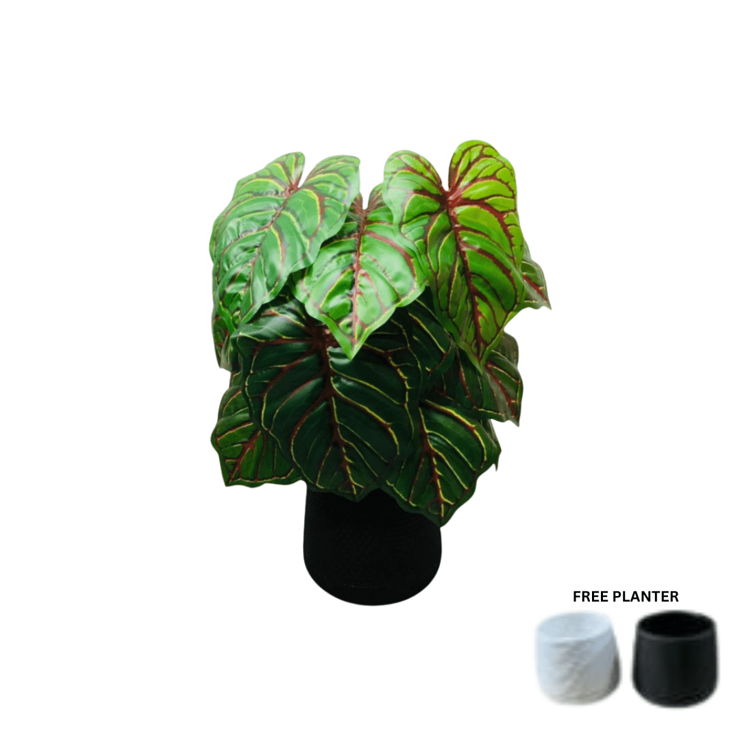 45cm Artificial Caladium Bicolor Plant, Money Plant, shrubs, foilages, Plant 12 leaves Aplant1114-1