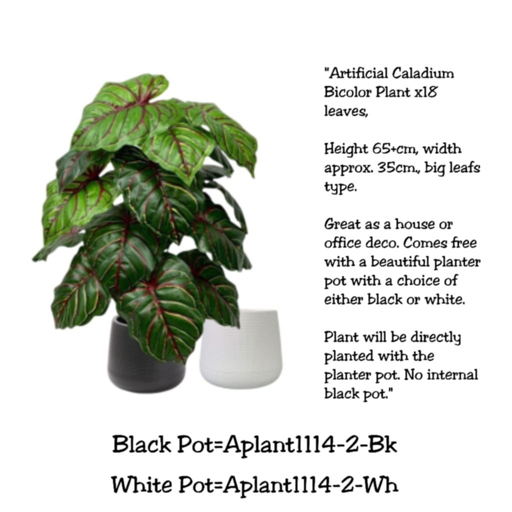 65cm Artificial Caladium Bicolor Plant, Money Plant, shrubs, foilages, Plant 18 leaves Aplant1114-2