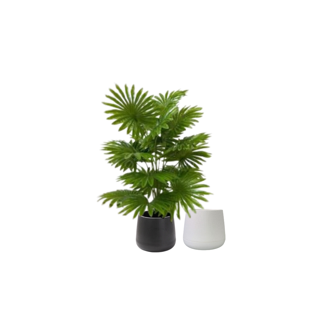 65cm Artificial Plant Livistona Fan Palm Plant, Money Plant, shrubs, foilages, Plant 18 leaves Aplant1115-2