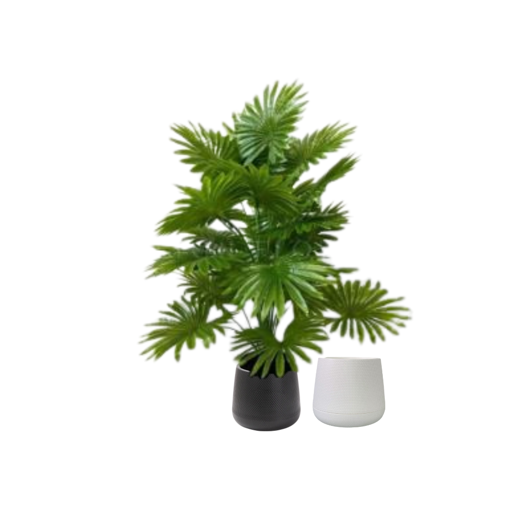 75cm Artificial Plant Livistona Fan Palm Plant, Money Plant, shrubs, foilages, Plant 24 leaves Aplant1115-3