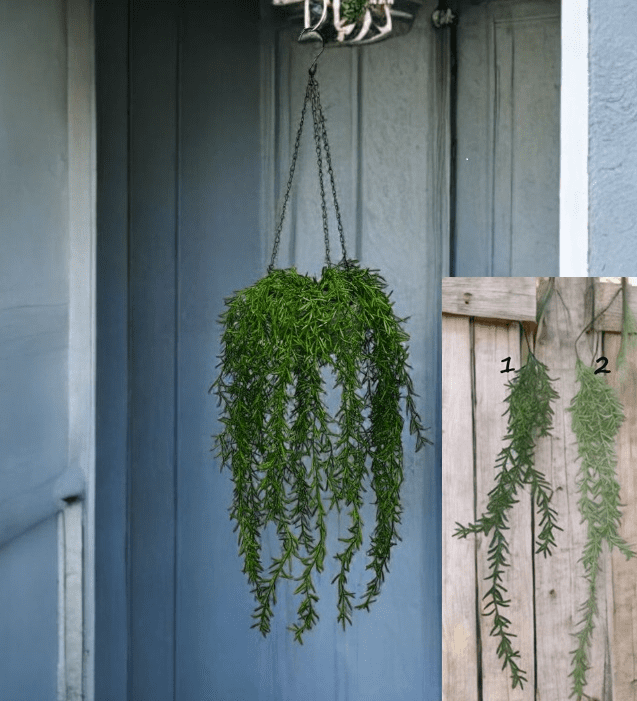 Artificial Plant Hanging Shrub, Bush Foliage in Plastic Pot, garden, balcony plant, Ceiling Plant, Events. Aplant1117