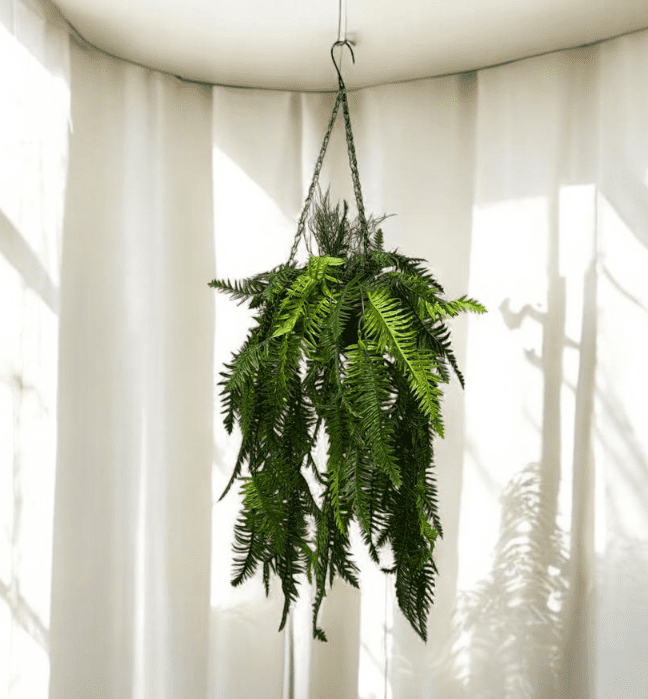 Artificial Plant Hanging Shrub, Bush Foliage in Plastic Pot, garden, balcony plant, Ceiling Plant, Events Aplant1118