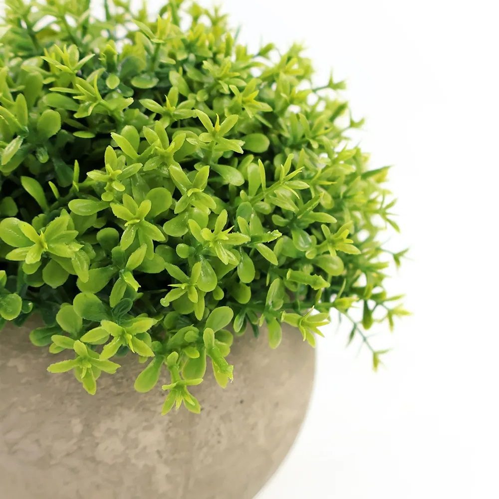 12.5cm Potted Plant Artificial, Succulent, flowers. home decor, garden, events,  Aplant1120