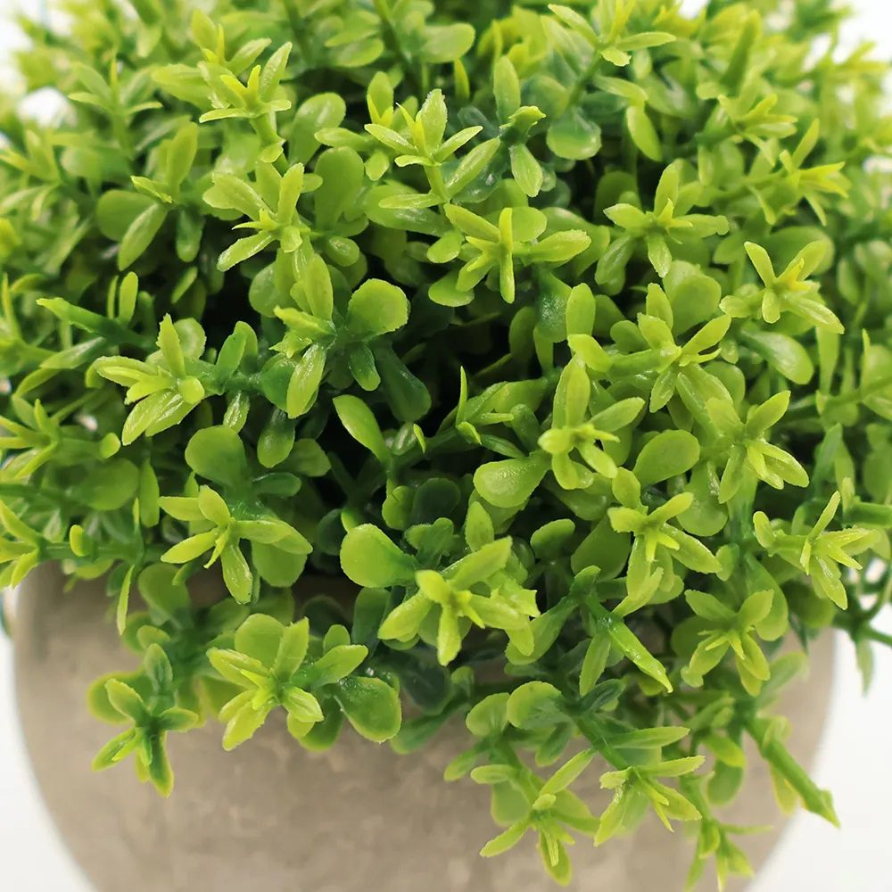 12.5cm Potted Plant Artificial, Succulent, flowers. home decor, garden, events,  Aplant1120