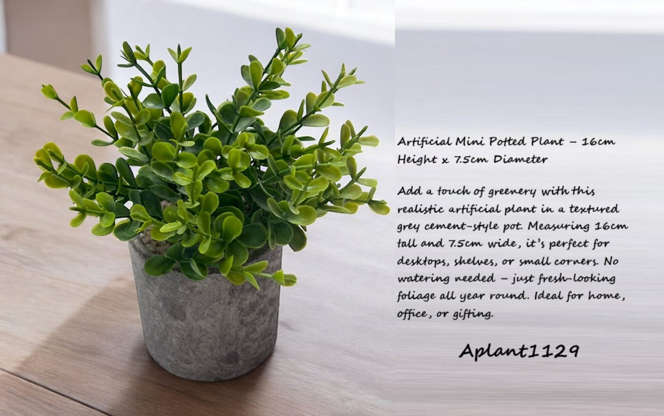 16cm Potted Plant Artifical, Succulent, flowers. home decor, garden, events