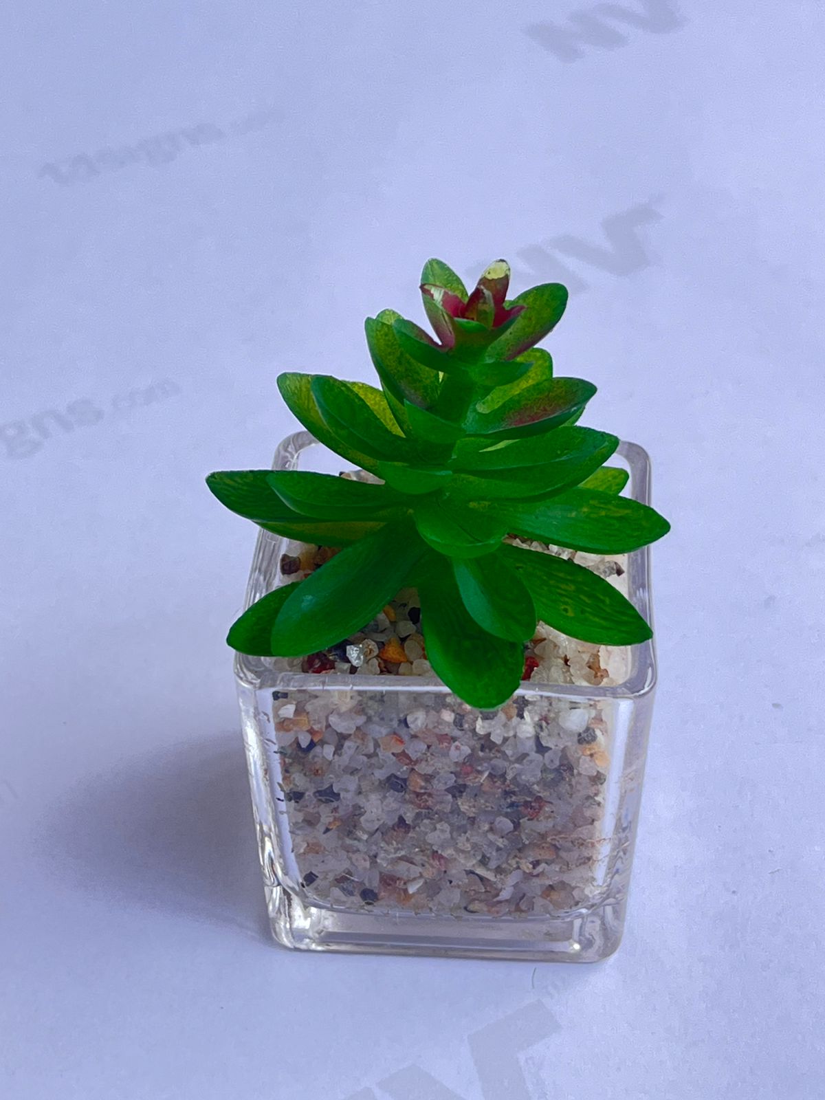8cm Potted Plant Artificial, Succulent, flowers. home decor, garden, events, Aplant1137