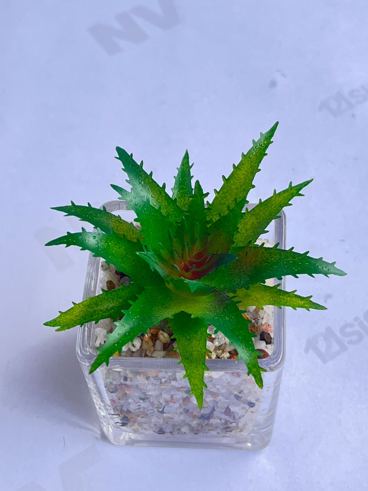 8cm Potted Plant Artificial, Succulent, flowers. home decor, garden, events, Aplant1137