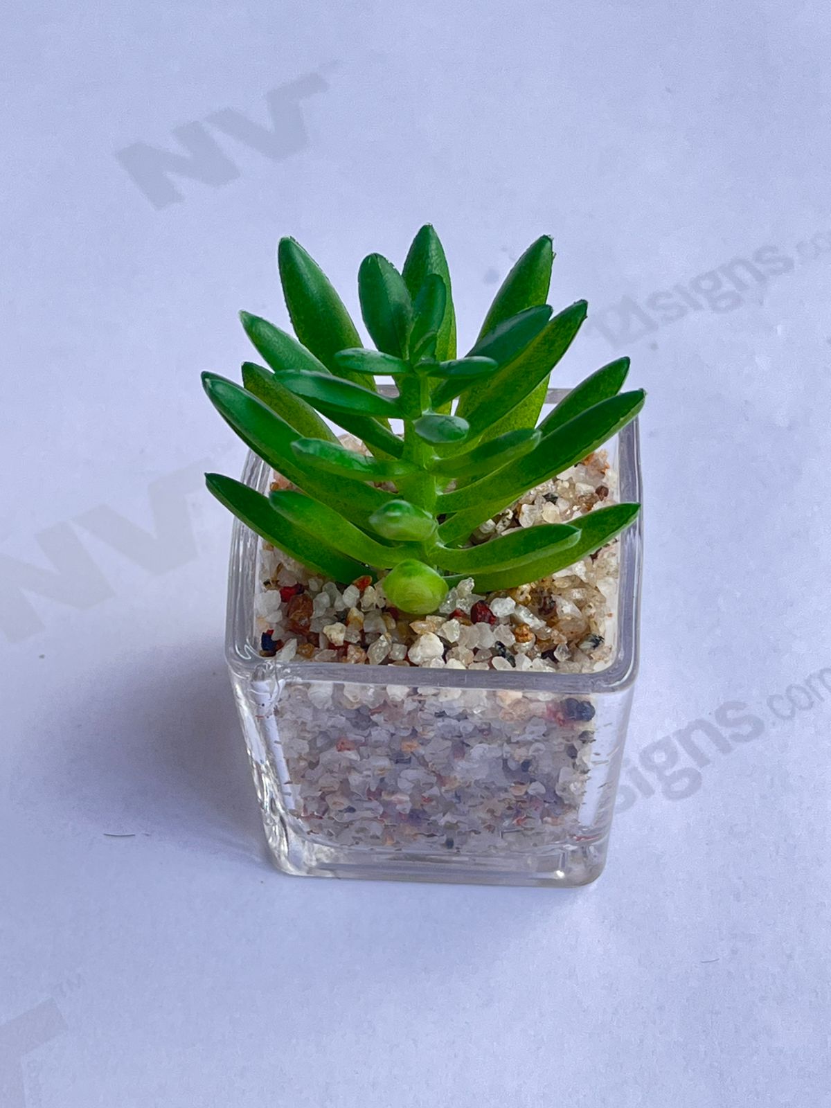 8cm Potted Plant Artificial, Succulent, flowers. home decor, garden, events, Aplant1137
