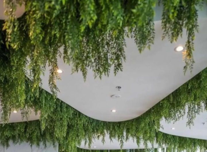 Wall Grass Installation for Residential/ Office Wall Grass Installation- FOR SELF COLLECTION ONLY- Aplant1144-15