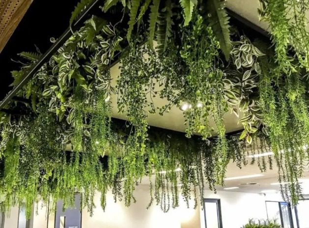 Wall Grass Installation for Residential/ Office Wall Grass Installation- FOR SELF COLLECTION ONLY- Aplant1144-18