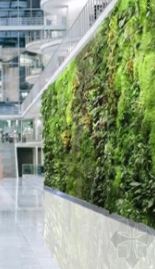 Wall Grass Installation for Residential/ Office Wall Grass Installation- FOR SELF COLLECTION ONLY- Aplant1144-4