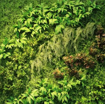 Wall Grass Installation for Residential/ Office Wall Grass Installation- FOR SELF COLLECTION ONLY- Aplant1144-7