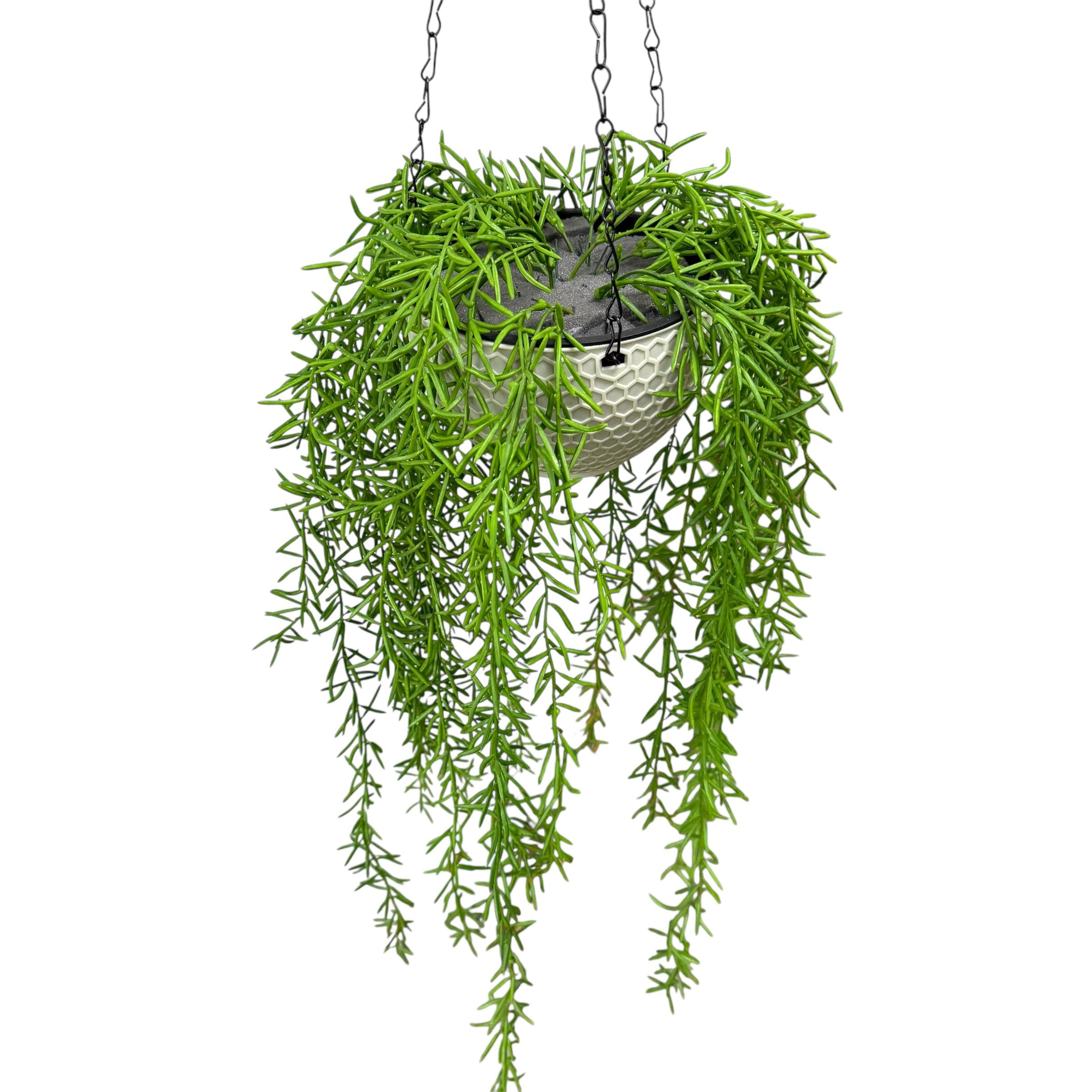 Hanging artificial plant with chain Aplant1146