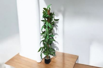 90cm-150cm Artificial Plant Curling with fiberpole, home decor, events, garden. Aplant1150