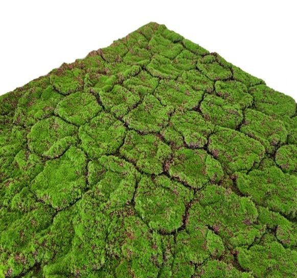 Artificial Moss Carpet 1M by 1M Artificial Lawn Fake Grass Artificial Green Plant Decoration Bonsai Shop Decoration Decoration Photo Props Aplant1154