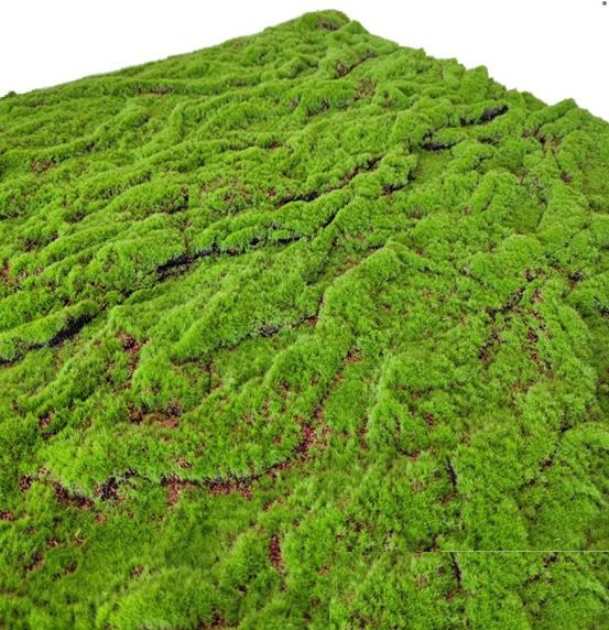 Artificial Moss Carpet 1M by 1M Artificial Lawn Fake Grass Artificial Green Plant Decoration Bonsai Shop Decoration Decoration Photo Props Aplant1156